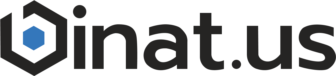 Logo of binat.us